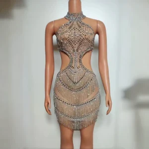 AD2138 New Sexy Charming Rhinestone Fringe Fashion Dress Luxury Women’s Party Dress See Through Party Dress