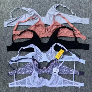 Cross Border Lace Bra Push Up Adjustable Sexy Lingerie Women’s Comfortable Traditional 36 46 BCDEF Cup ODM Foreign Trade
