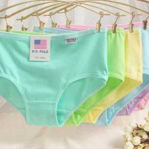 Custom Plain Skin Eco Friendly Undergarments Bulk Order Cotton Classic Ladies Underwear Women