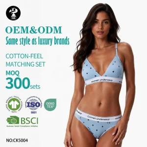 Custom Printing Women’s Backless Underwear Suit Wire Free Bra and Thong 2 Piece Set Triangle Cup Padded Bra With Panties