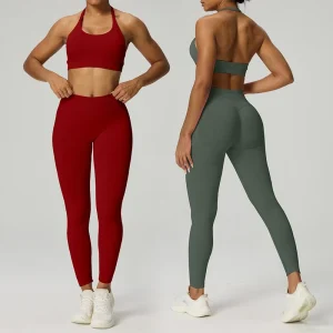 Customized Ladies Sportswear Seamless Fitness Yoga Wear Women’s Bra Leggings Fitness Suit for Gym