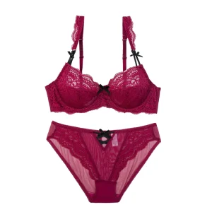 Direct Manufacturer Breathable Lace Bra and Panties Set Women Bra Set Two Piece Bra and Panties Sets