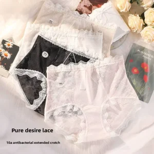 Factory Outlet Plus Size High-Waist Ultra-Thin Nylon Knitted Comfortable Breathable French Lace Sexy Panties For Women