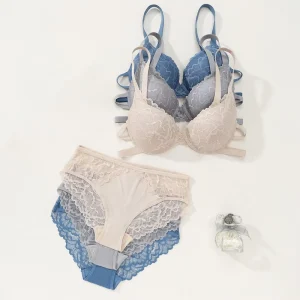 Fashion Style Lace Bra and Panty Set Two Hook-and-Eye Solid Color Sexy Women Bra Set with Breathable Panties