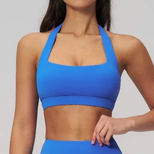 Halter Neck Backless High Quality Nylon Spandex Women’s Removable Pads Fitness Yoga Bra Gym Wear