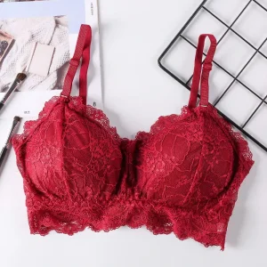 Lace Sexy Women’s Underwear Factory Ready Stock Women’s Plus Size Underwear Bra