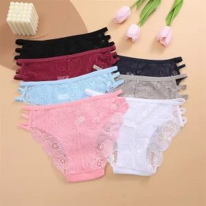 Lace Women’s Underwear Transparent Nylon Underwear for Women