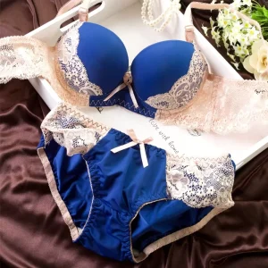Ladies Size 32 Push Up Lace Embroidery Panties Underwear Sexy Bra and Panty Sets