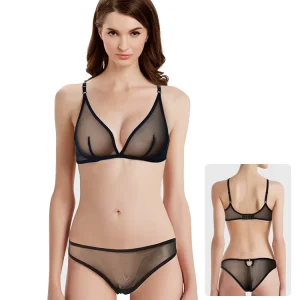 Ladies Women’s Seamless Transparent Lace Bra Panty Set Embroidery Decoration Hipster Style Sexy Lingerie Push Up Underwire