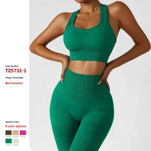 Seamless Yoga Active Wear Suit High Waist Lift Hip Workout Fitness Clothes Gym Activewear Women Sports Yoga Sets