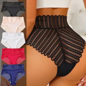 Sexy High Waist Lace Panties Hollow Out Women’s Underwear Factory Direct Custom Logo OEM Low MOQ Plus Size Briefs