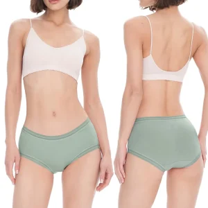Skin Friendly Women’s Breathable Hipster Panties Bamboo Ladies Underwear Briefs Custom Underpants for Women