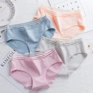 Supply Ladies’ Triangle Lace Underwear Low waist Breathable High quality Hollow out Cotton Underwear for