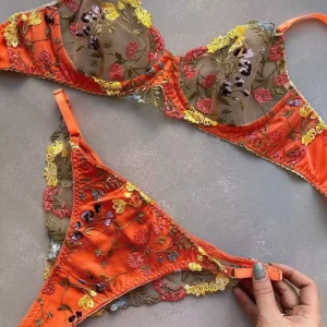 Women’s Transparent Bra Set 2 Pieces Embroidery Lace and Satin Delicate Erotic Underwear