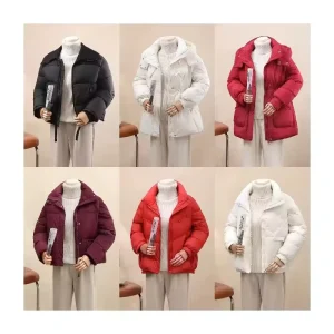 Women’s Ultra Lightweight Hooded Winter Jacket Packable Warm Autumn Puffer with High Collar & Zipper Decorations Plain Dyed Coat